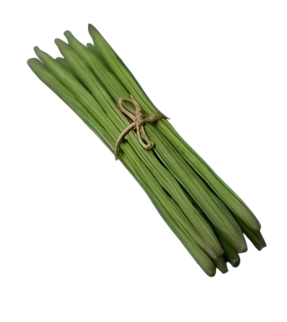 Drumsticks